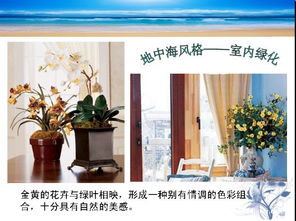 亨特时尚窗饰，半露天设计中的诗意栖居——走进宋琼的设计师家园